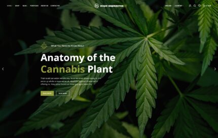 Скриншот демо-сайта medical-marijuana